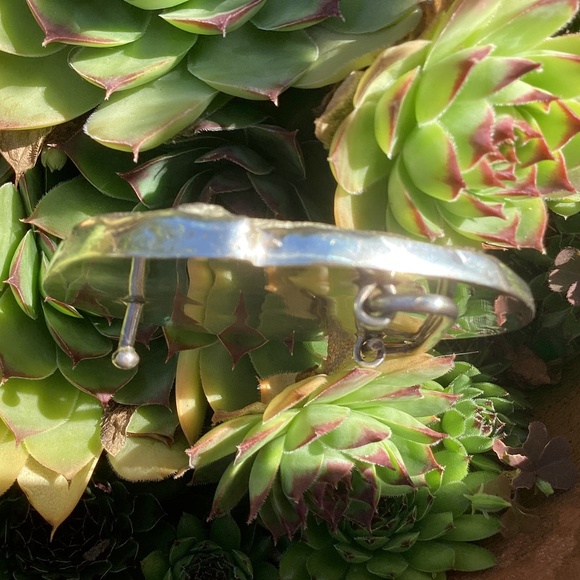 Beautiful Brown Agate Stone Sterling Silver Artisan Handmade Belt Buckle